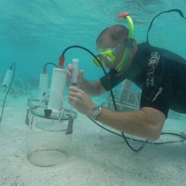 water sampling