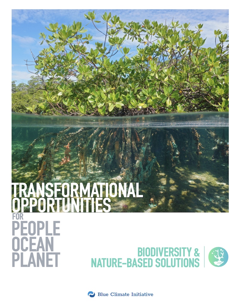 Biodiversity and Nature-based Solutions | Blue Climate Initiative