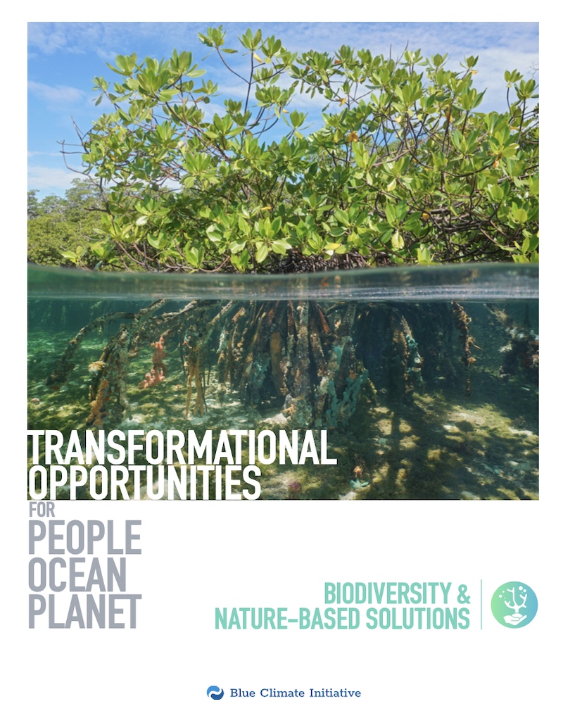 Biodiversity and Nature-Based Solutions