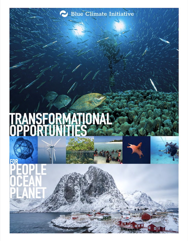 Compendium of Transformational Opportunities