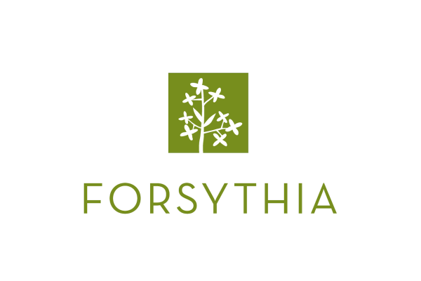 forsythia