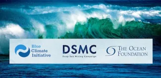 waves team