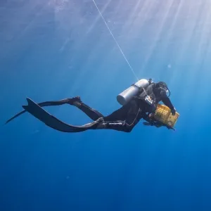 Chris Meyer retrieving the ARMS plates on Tetiaroa