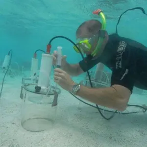 water sampling - ocean acidification project